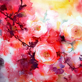 薔薇の夢