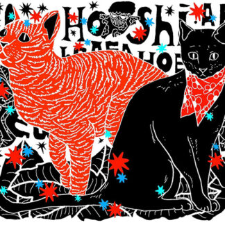 黒猫